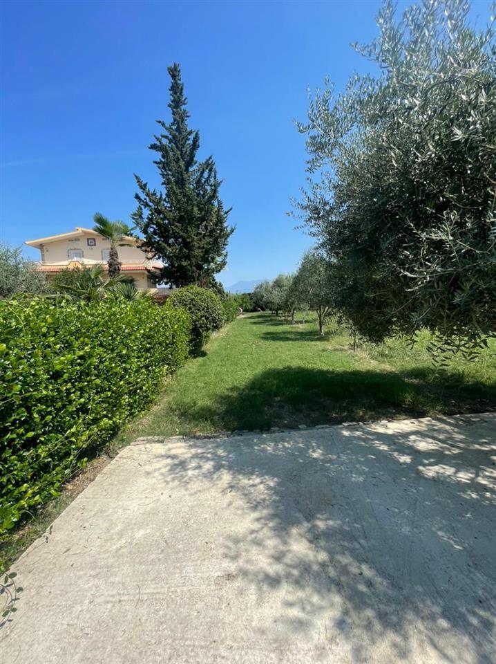 Qera, Vilë, Pranë City Park, Tiranë