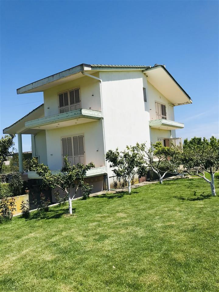 Shitet vila lagja Sheq i Madh