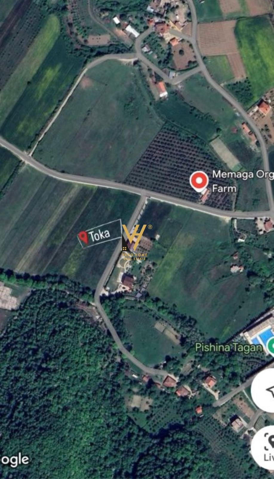 TOKE 10.000M2 NE TAGAN, PETRELE 700.000 EURO