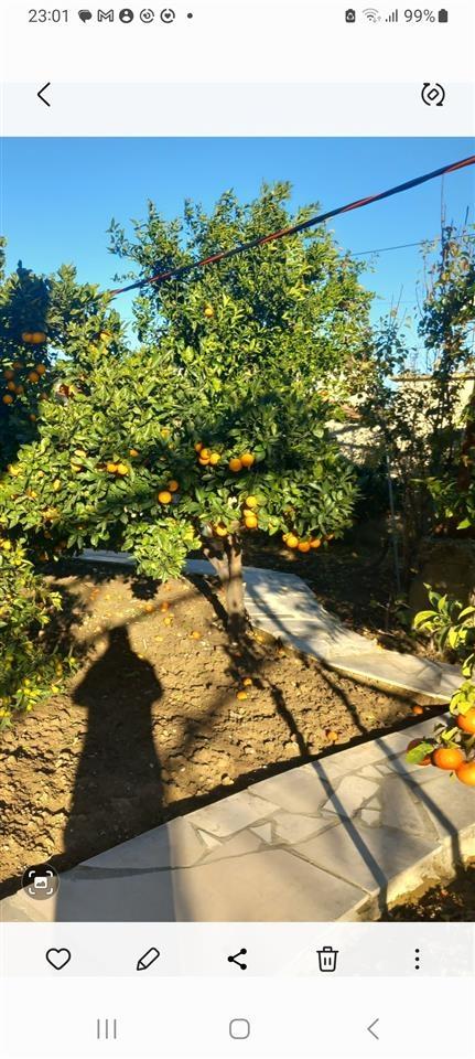 Shtepi me oborr per qera ,te Pyjorja 3 dhoma gjumi