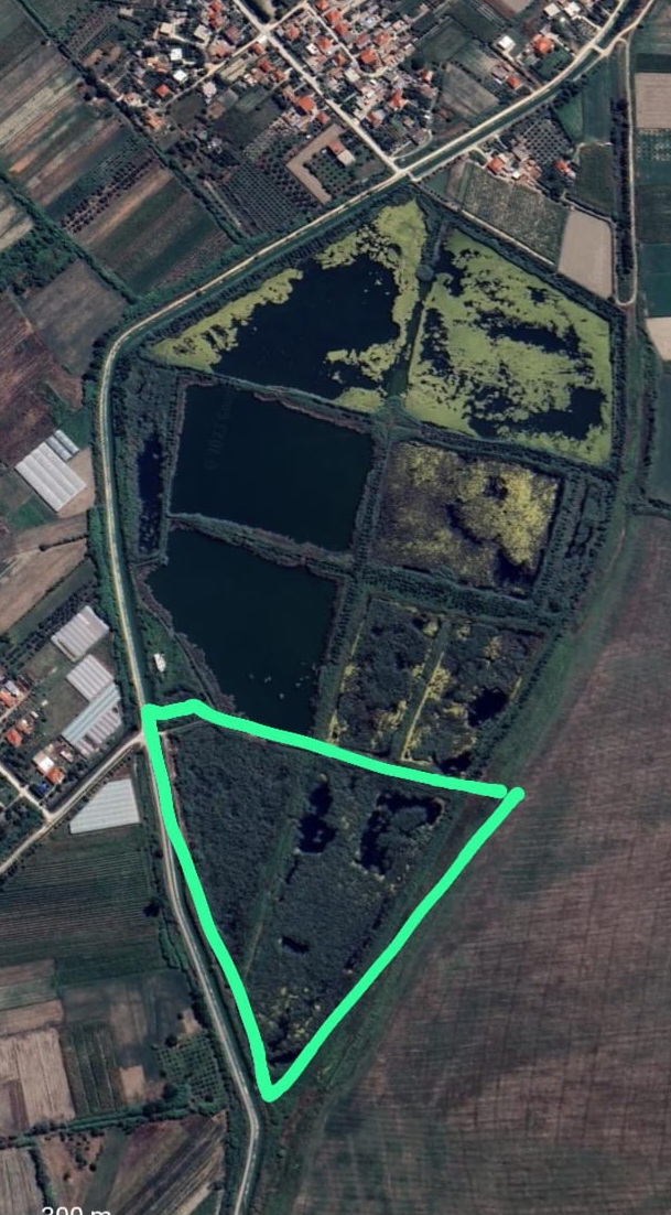 Shitet Toke Ne Mazhaj Lushnje , 44.000 m²