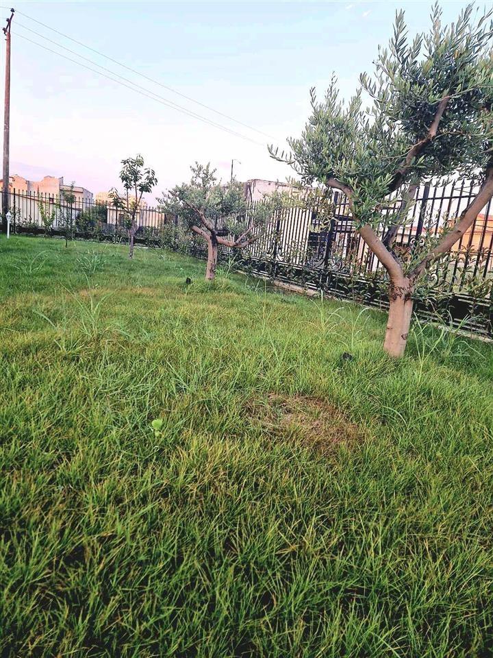 Vila luksi,5 km nga plazhi Qerretit (Rruga Shengjergj,Kavaje