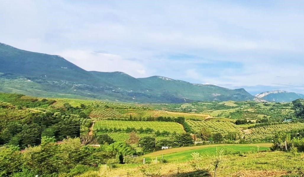 Shitet Truall ne Daias (430.000 euro)