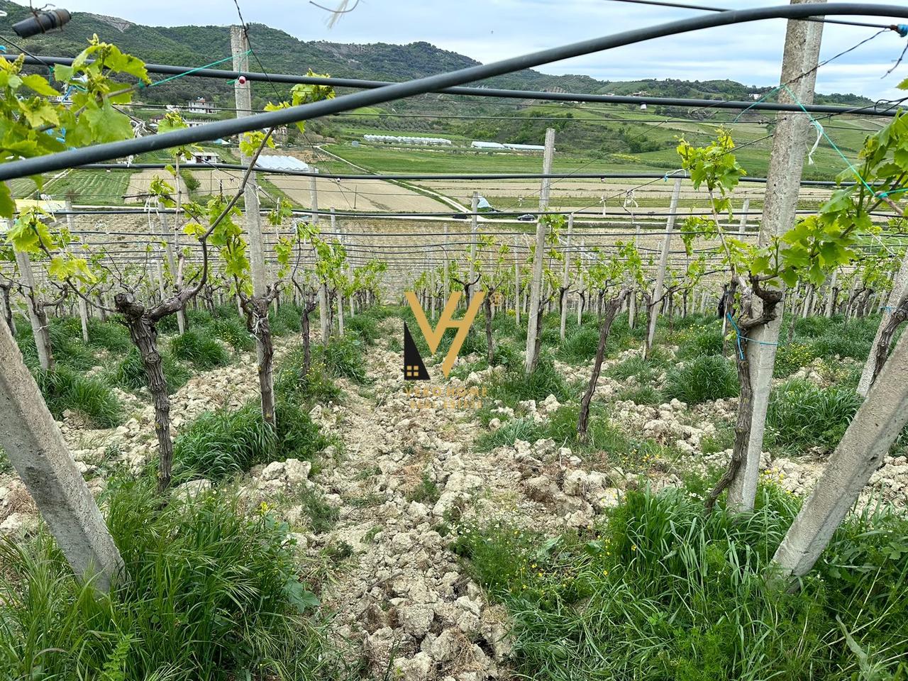 SHITET TOKE 7.000 M2 NE KAVAJE 90.000 EURO