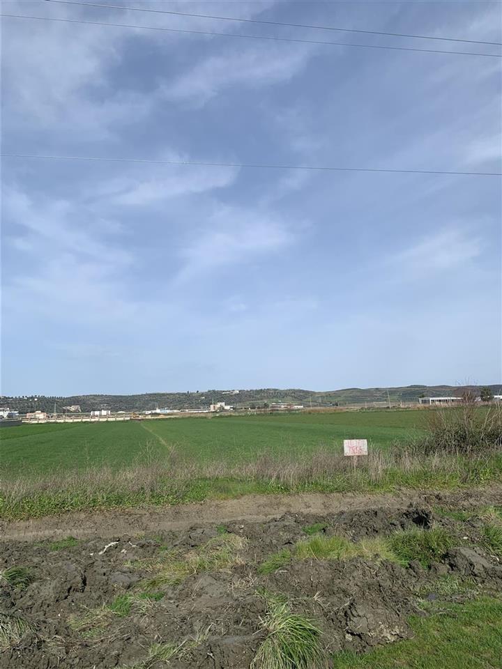 Shitet TOKA ne mbrostar-ura me siperfaqe 6 dynym.