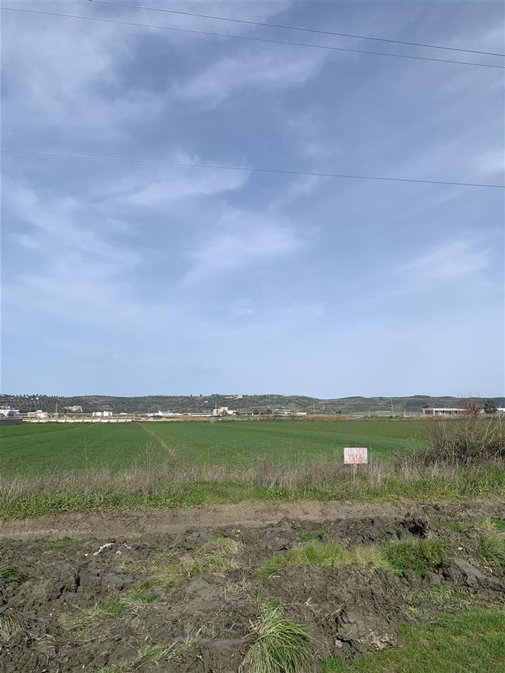 Toke prej 7dylym ne Fier