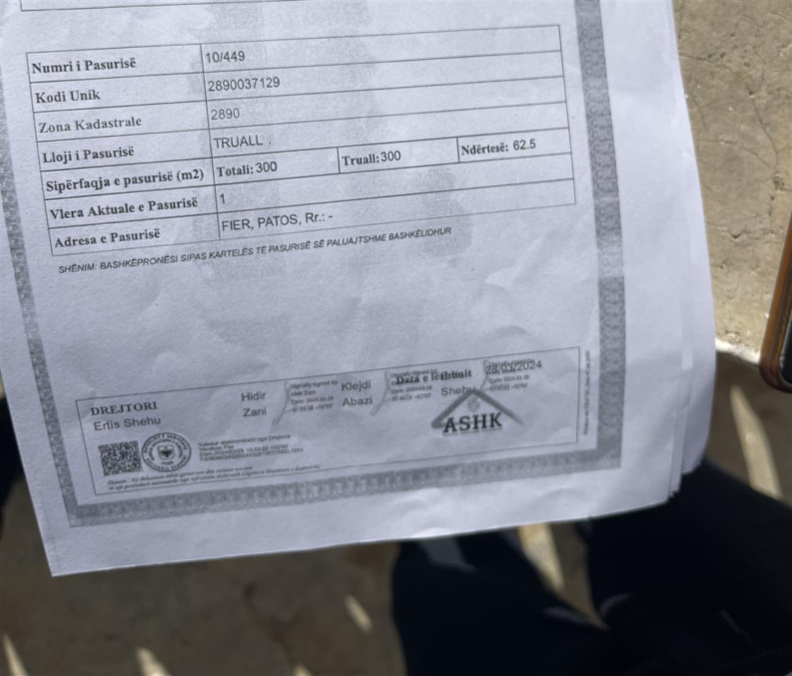 Okazion shtepi private patos