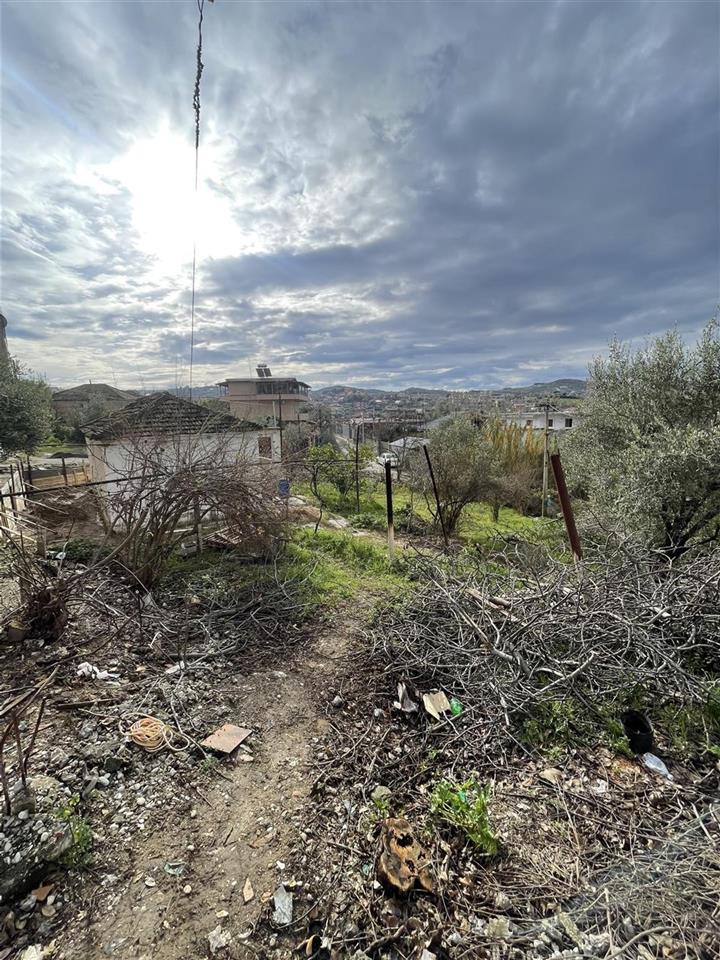 Okazion shtepi private patos