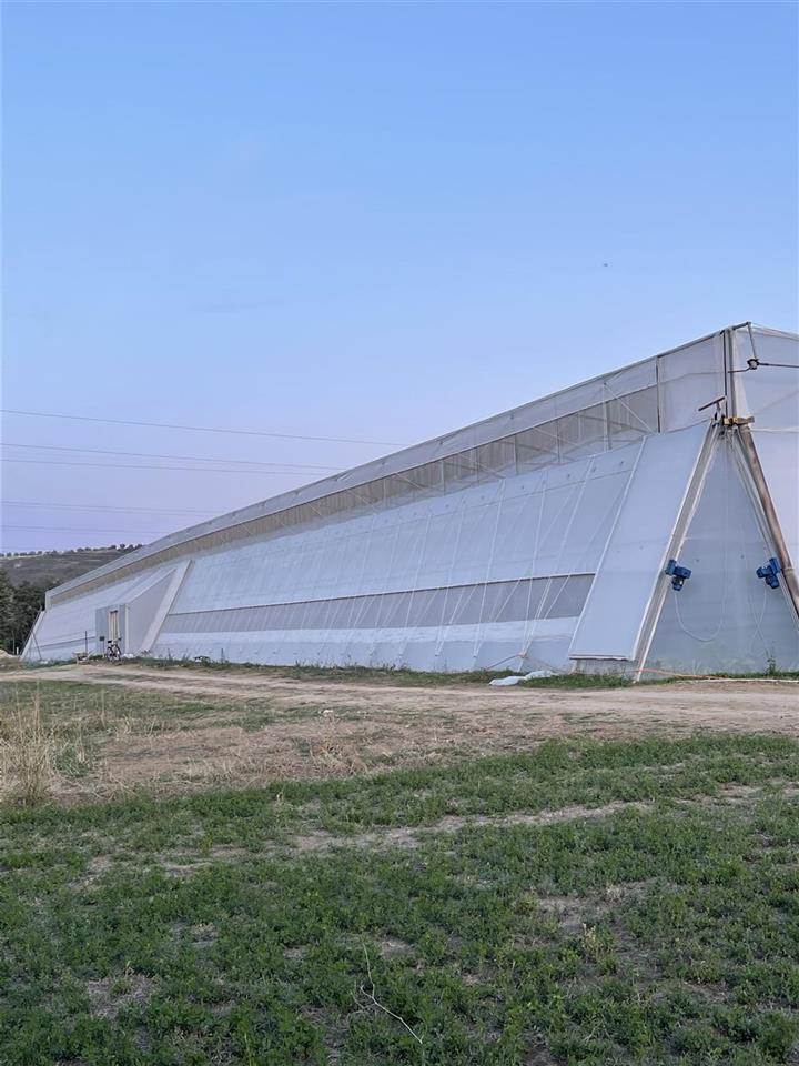 Shitet super Okazjon