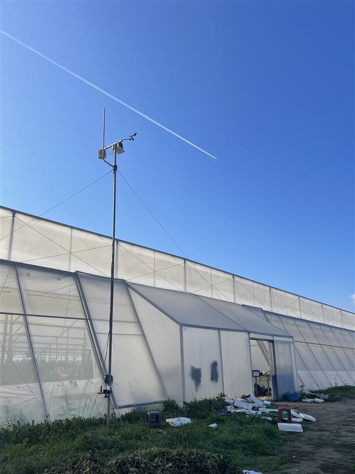 Shitet super Okazjon