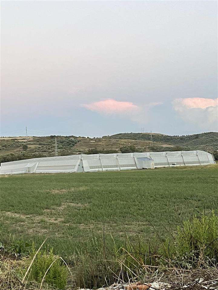 Shitet super Okazjon