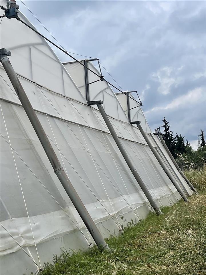 Shitet super Okazjon