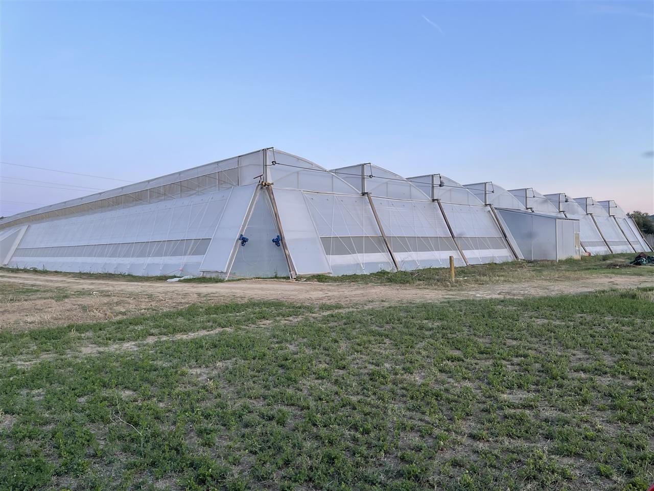 Shitet super Okazjon