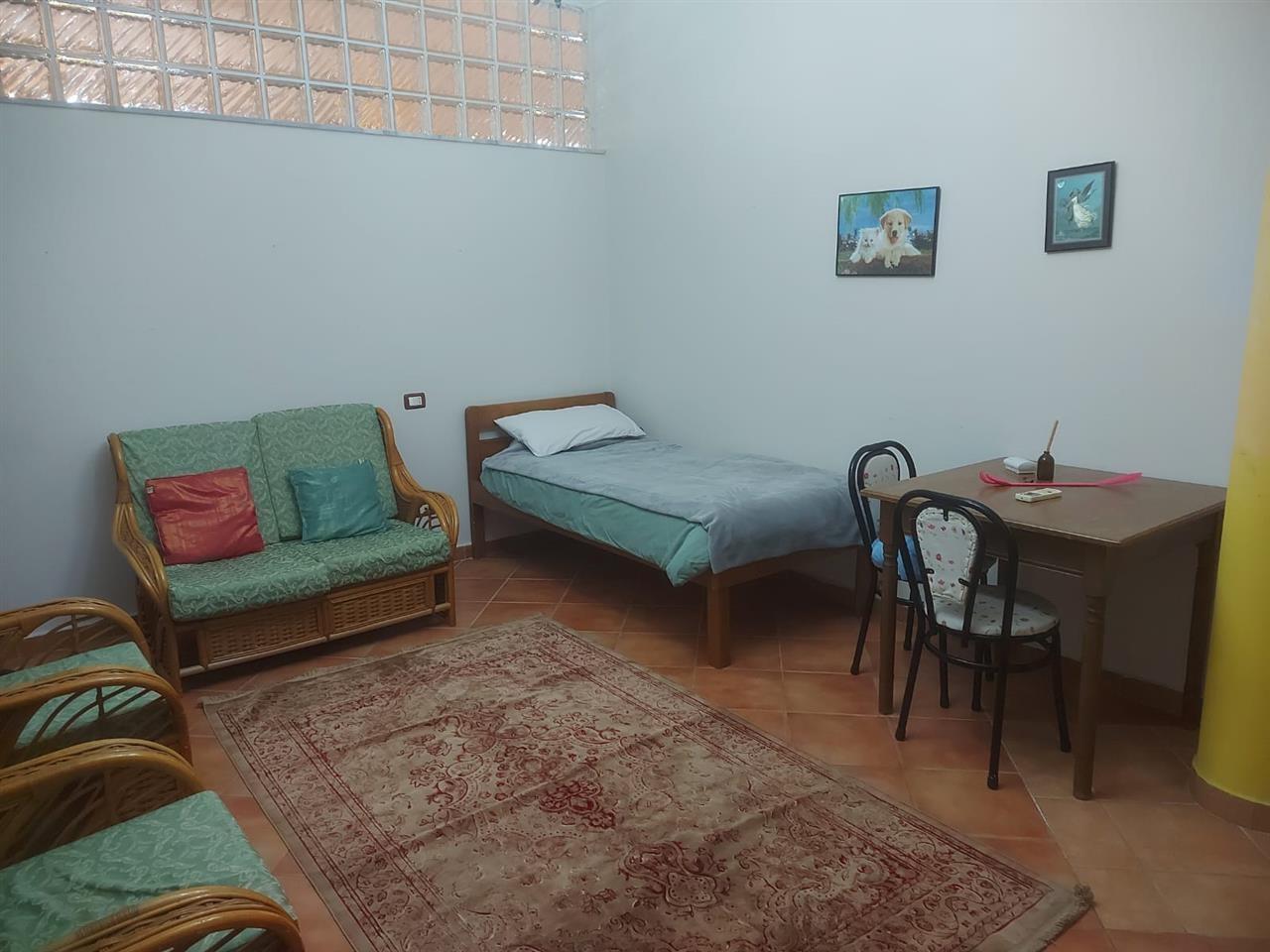 JEPET VILETE ME QIRA