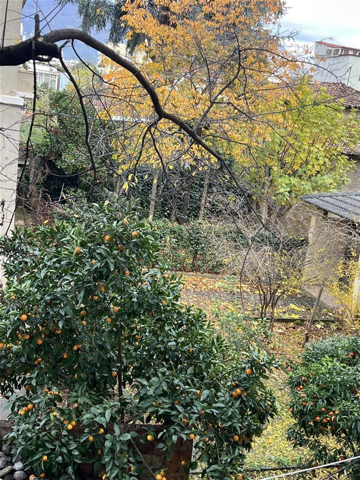 2+1 ME QERA, SHESHI SKENDERBEJ