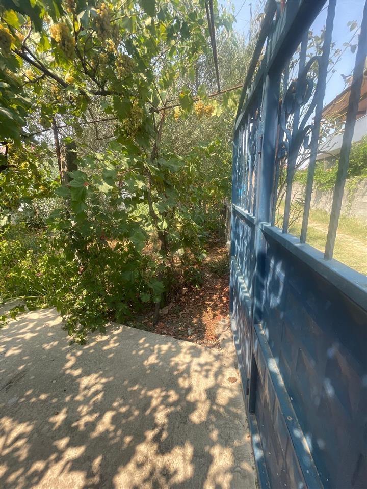 Shitet shtepi ne fshatin Cermë- Sektor