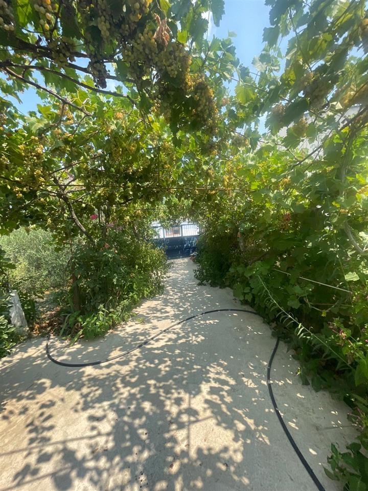 Shitet shtepi ne fshatin Cermë- Sektor