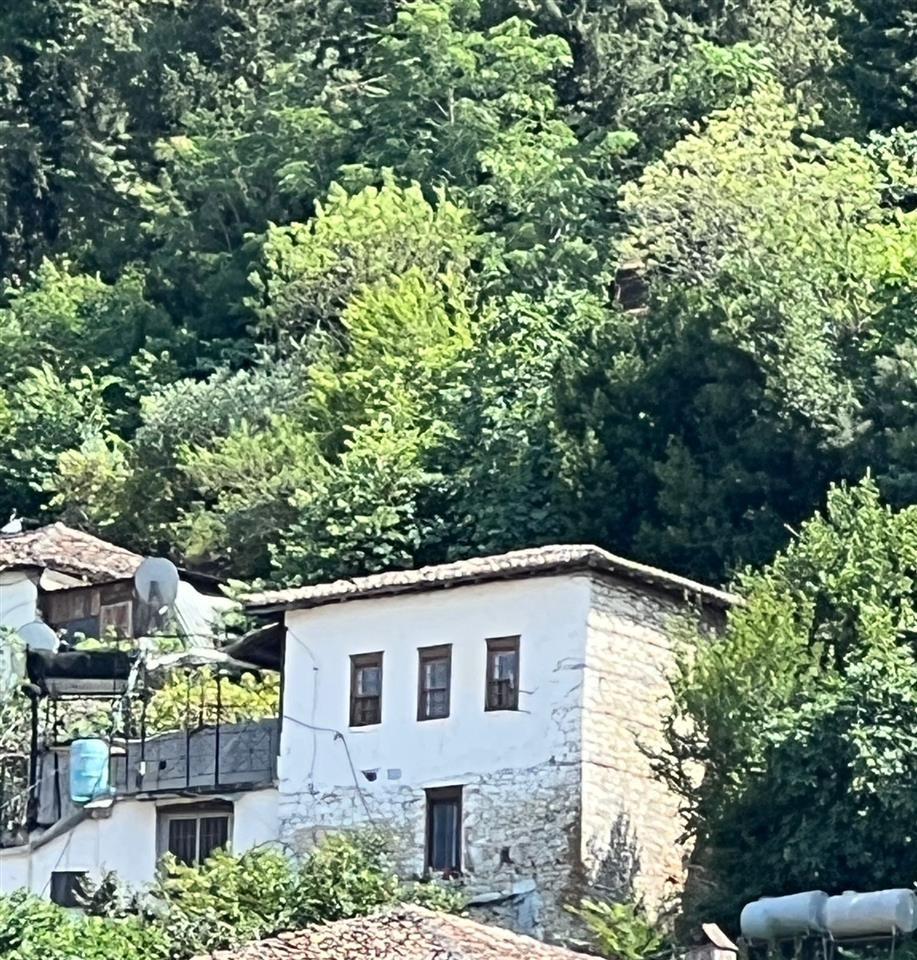 Jepet me qera per biznes hoteleri