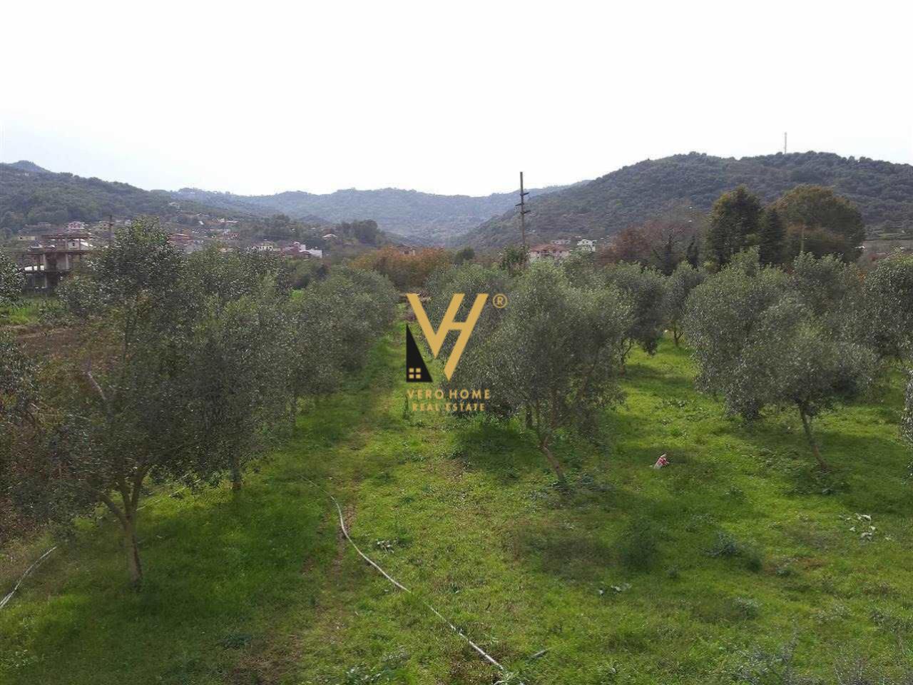 SHITET TOKE 3.000 M2 NE NDROQ 95.000 EURO