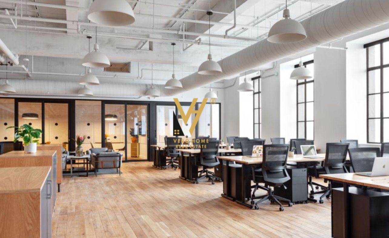 AMBIENT 350 M2 TE SHESHI WILLSON 1.400.000 EURO