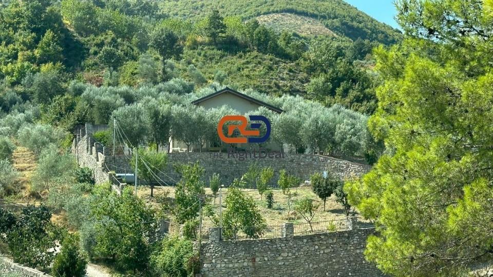 Ne Petrele, Jepet Vile me Qira me Pamje Fantastike! E Sapo I