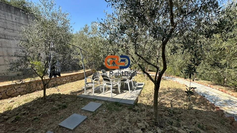 Ne Petrele, Jepet Vile me Qira me Pamje Fantastike! E Sapo I