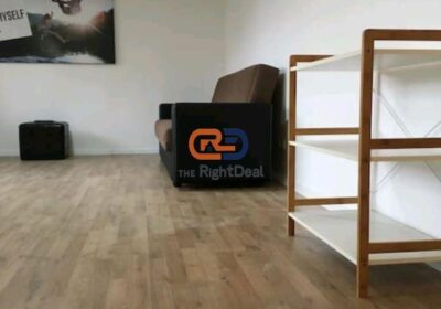 Tek Rruga E Elbasanit, Jepet Me Qira Apartament 1+1 Me Lokac