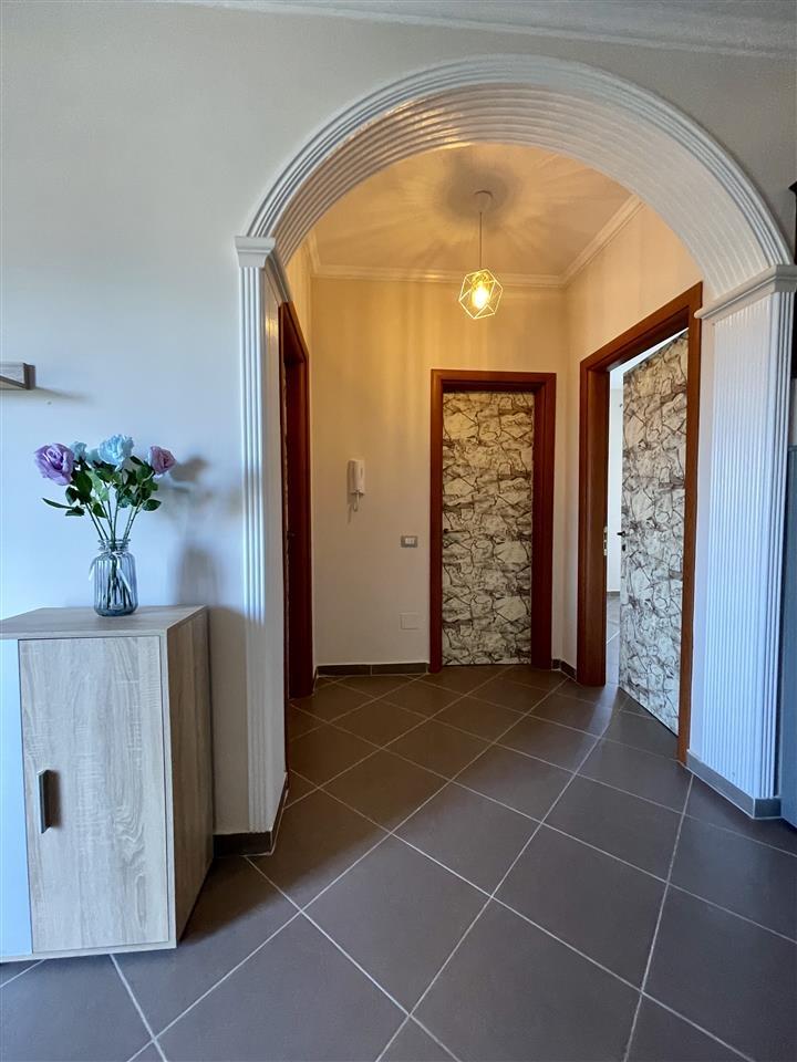 2+1 me Qera, JO AGJENSI, Transballkanike