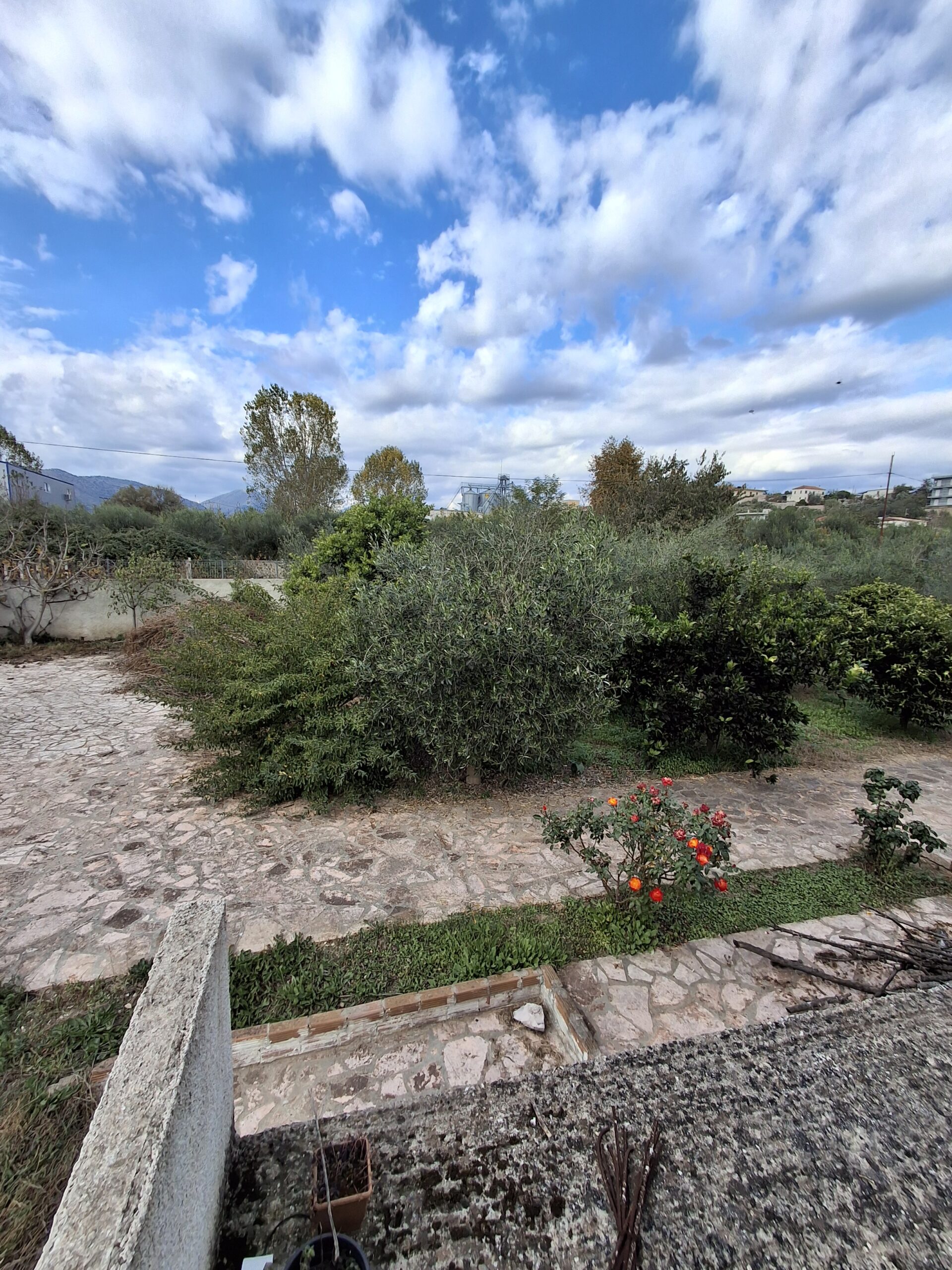 SHITET TOKE NE VRION, SARANDE (ARE+TRUALL)