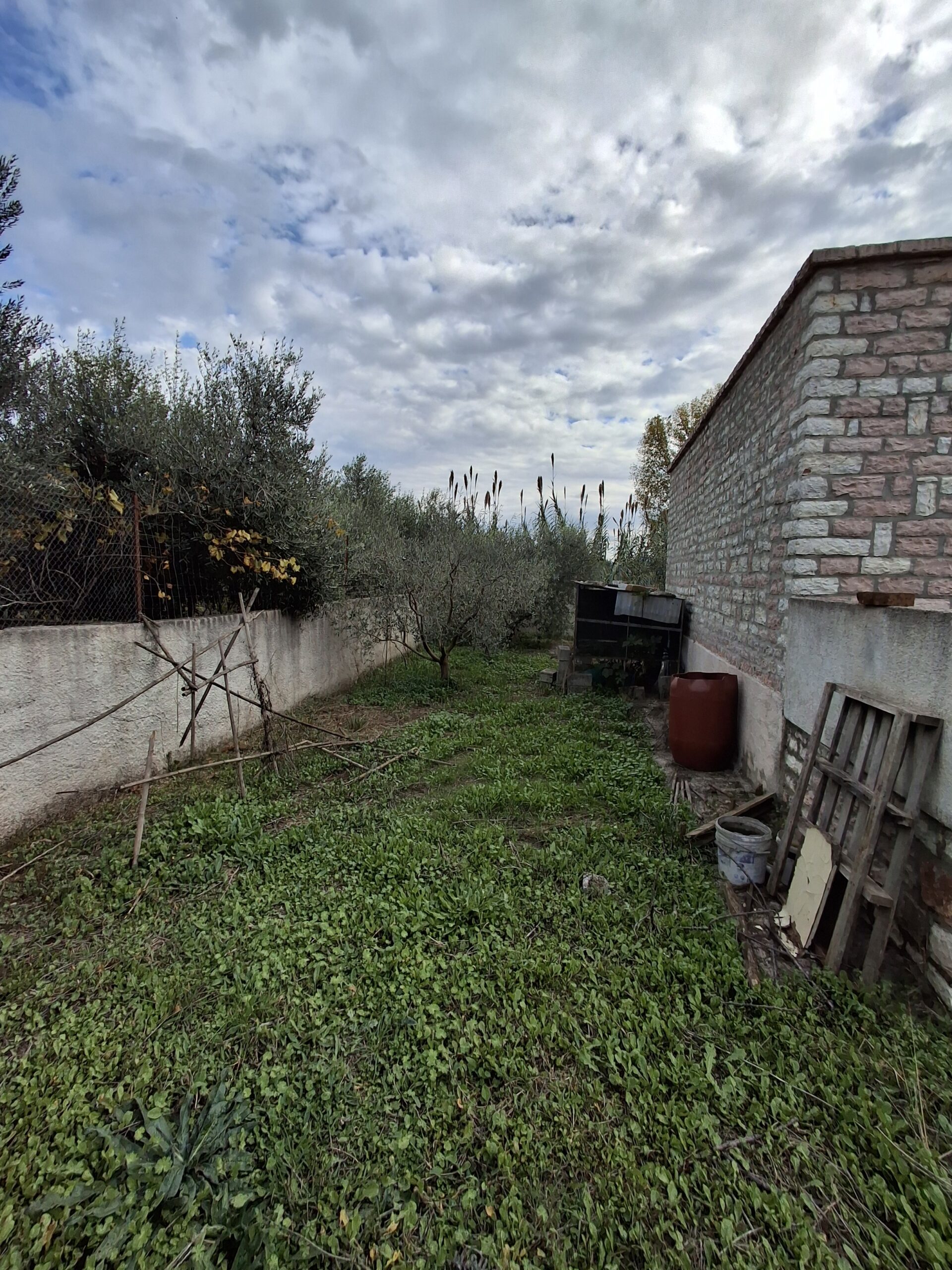 SHITET TOKE NE VRION, SARANDE (ARE+TRUALL)