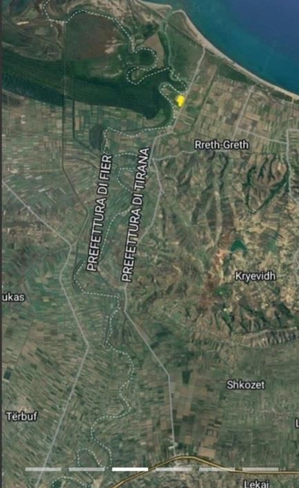 SHITET TOKE ME DEKUMENTA TE RREGULLTA.OKAZION