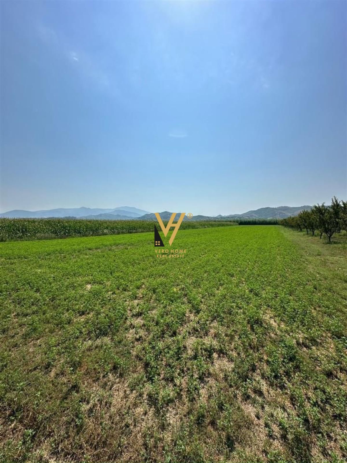 TOKE 13.000 M2 NE VORE 1.170.000 EURO