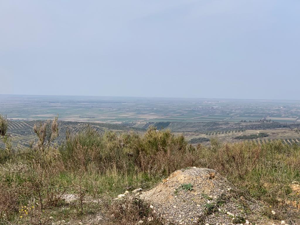 Toke Truall Agroturizem