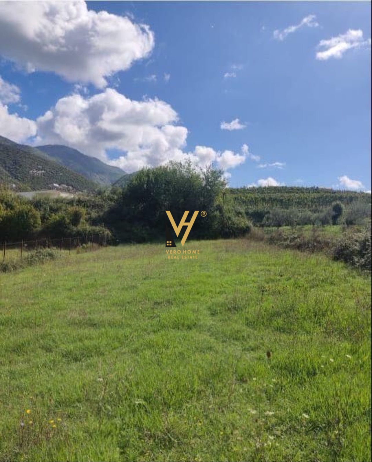 TOKE ARE 19.600 M2 NE VORE 196.000 EURO