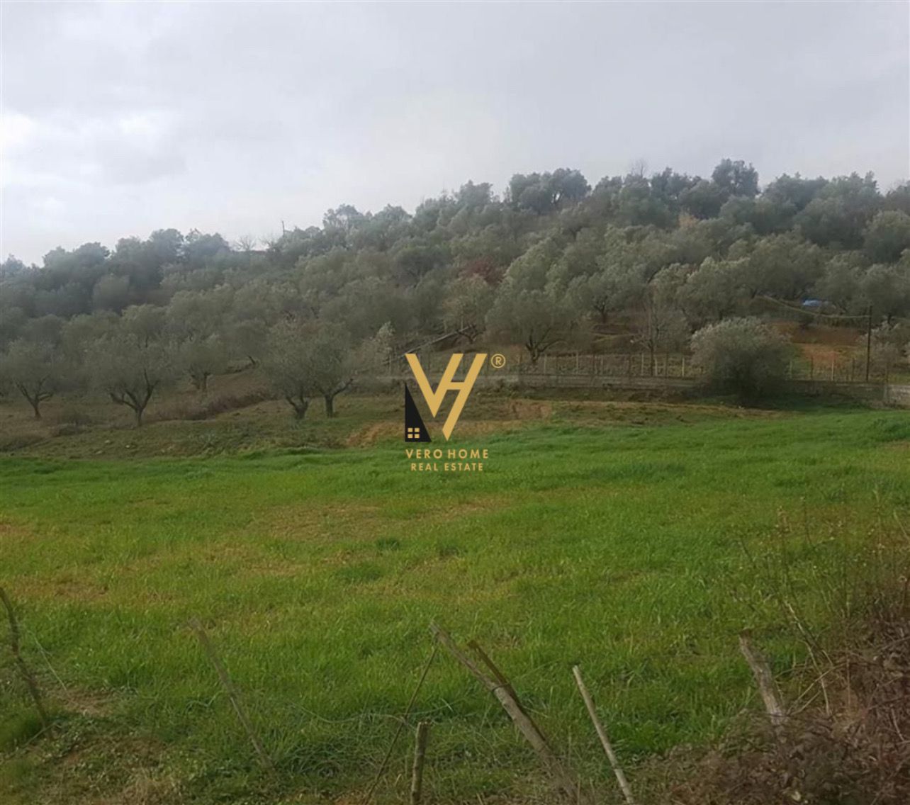6.500 M2 NE MARQINET, VORE 160.000 EURO