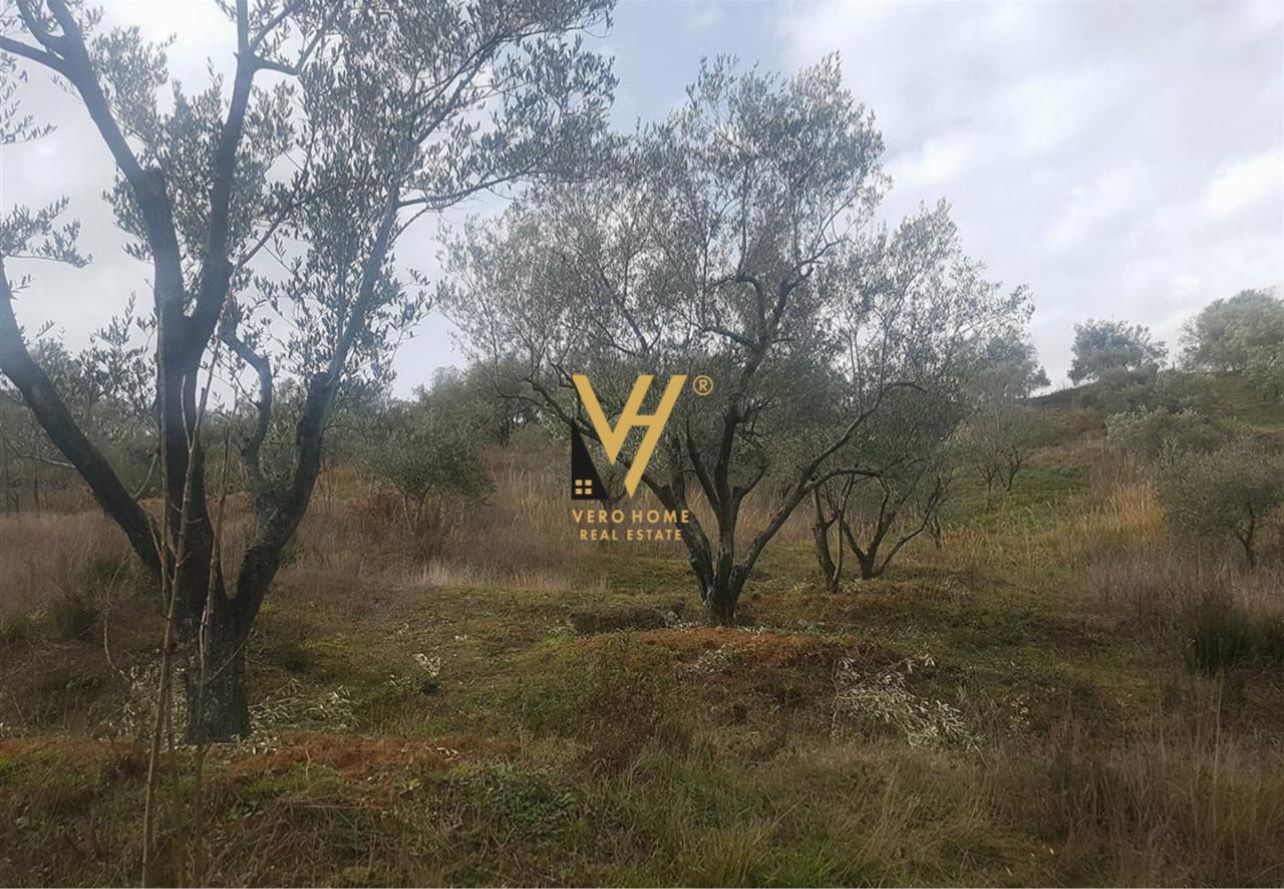 6.500 M2 NE MARQINET, VORE 160.000 EURO