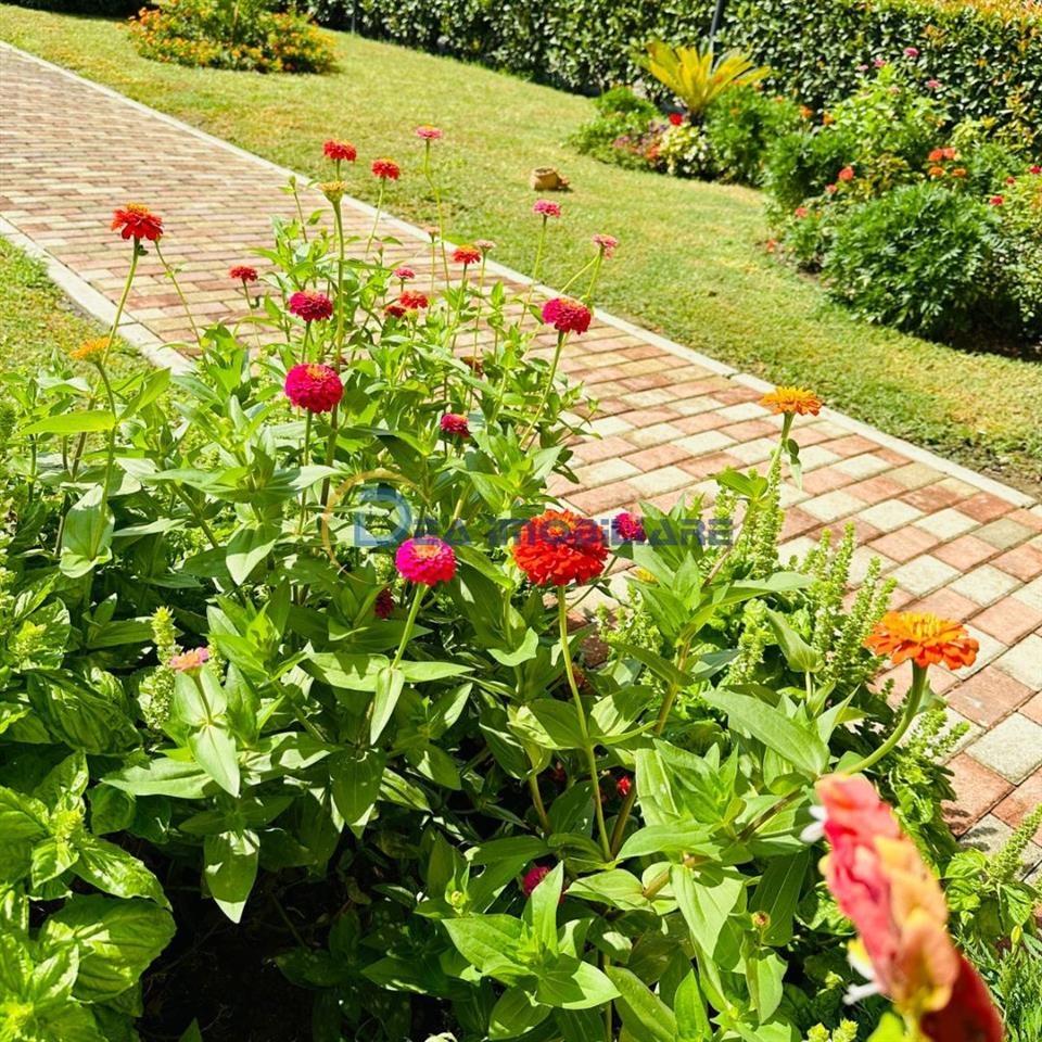 SHITET VILETË 3-KATËSHE