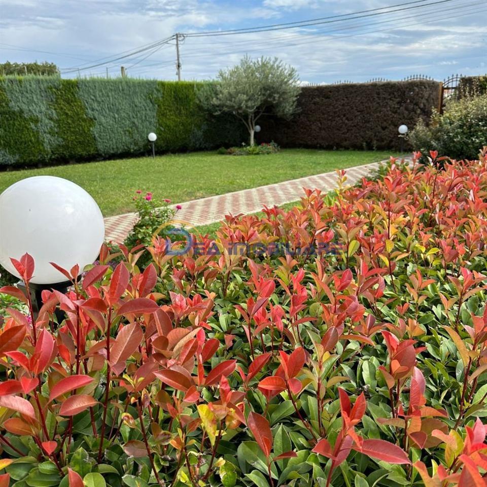 SHITET VILETË 3-KATËSHE