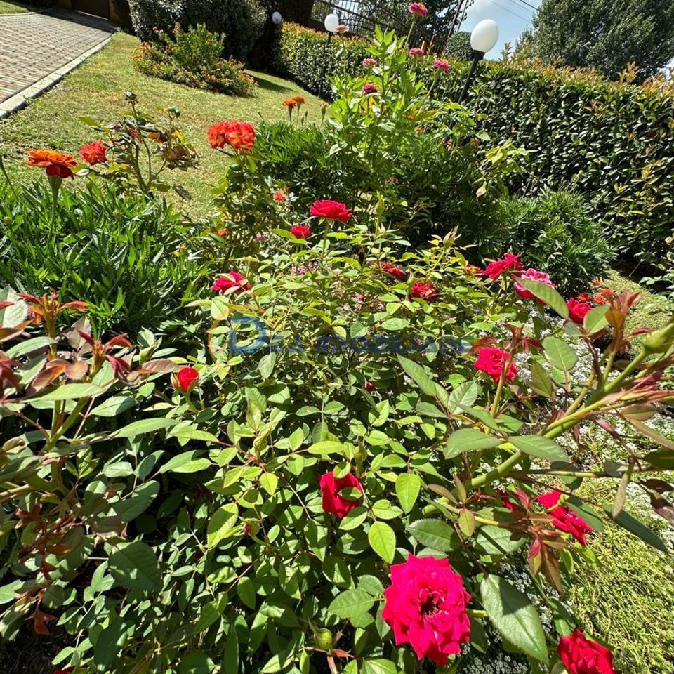 SHITET VILETË 3-KATËSHE