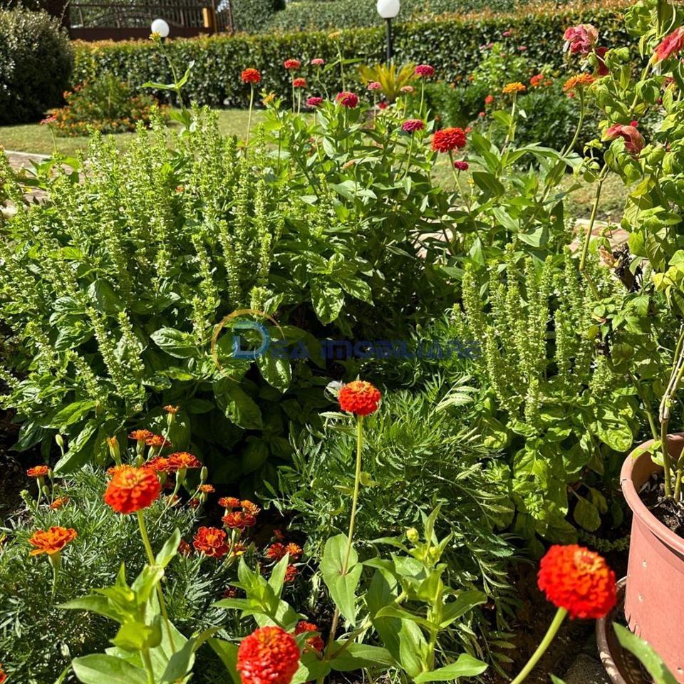 SHITET VILETË 3-KATËSHE