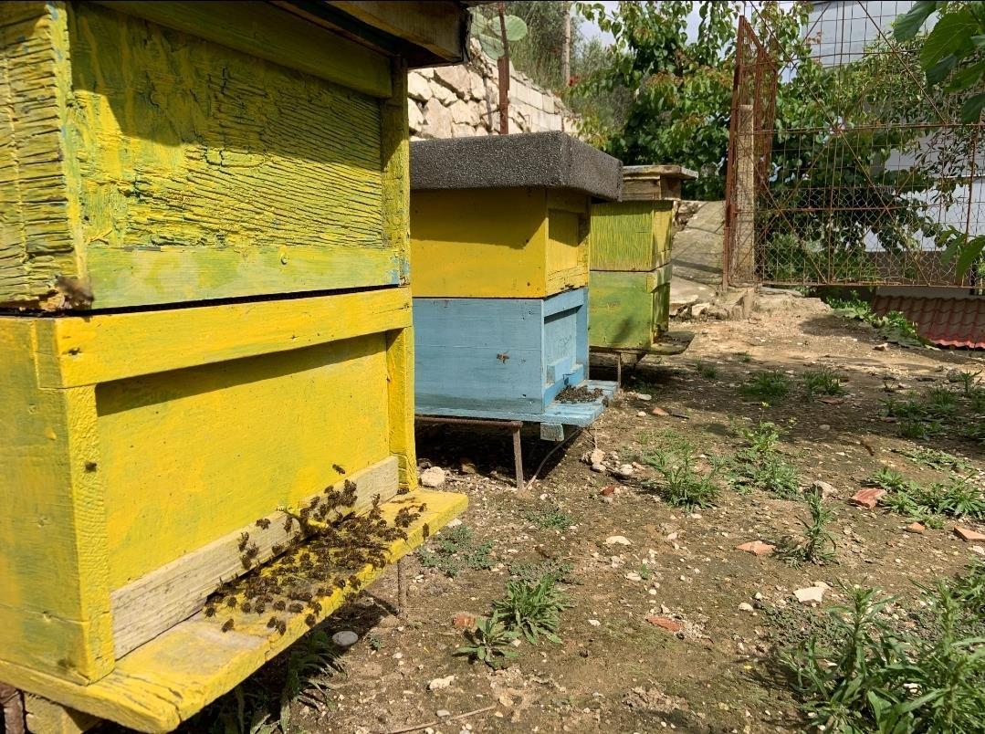 Agriturizem ose hotel potencial ne mes te natyrës