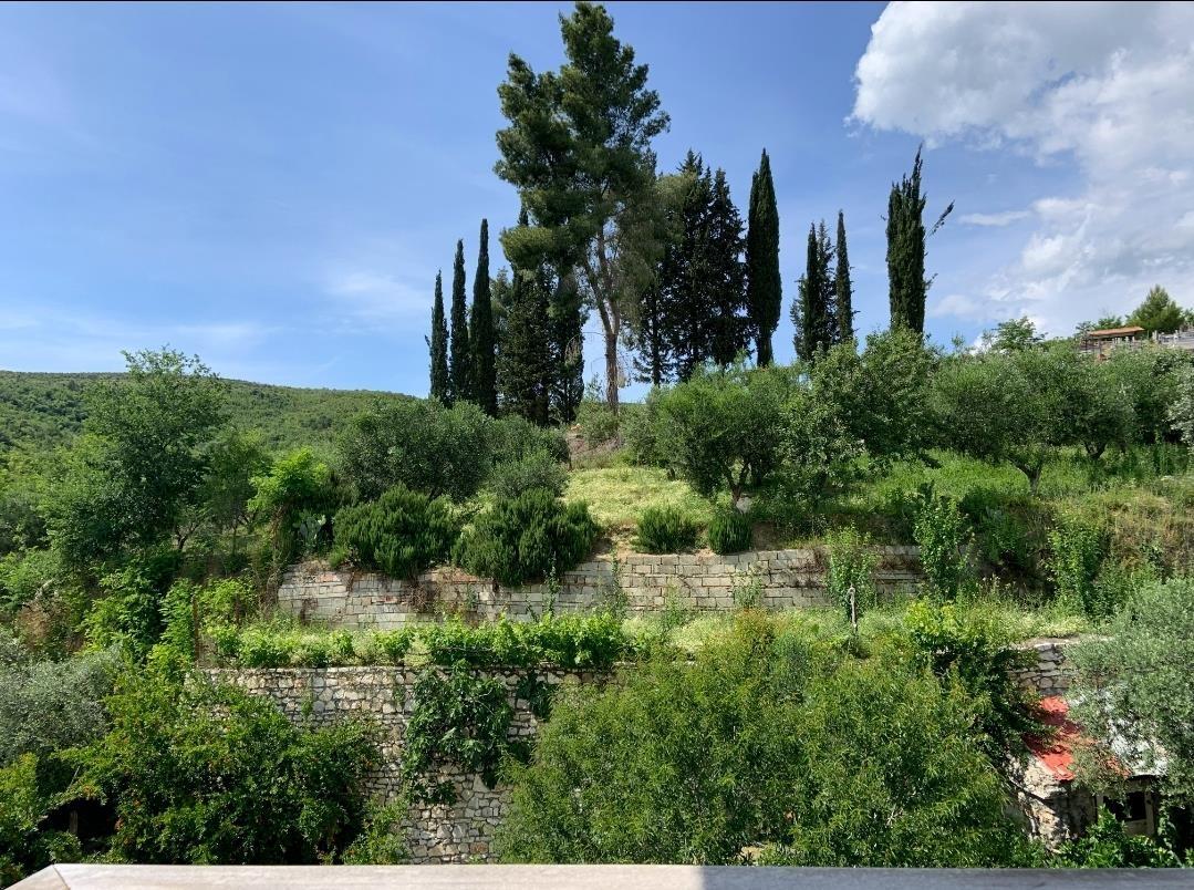 Agriturizem ose hotel potencial ne mes te natyrës