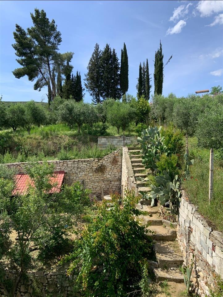 Agriturizem ose hotel potencial ne mes te natyrës