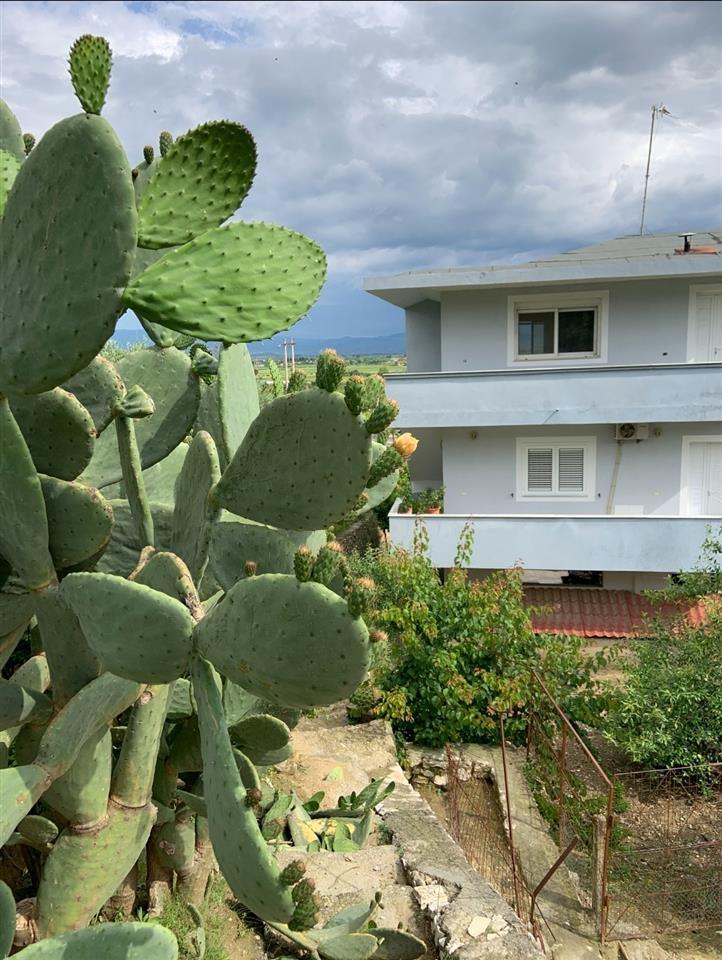 Agriturizem ose hotel potencial ne mes te natyrës