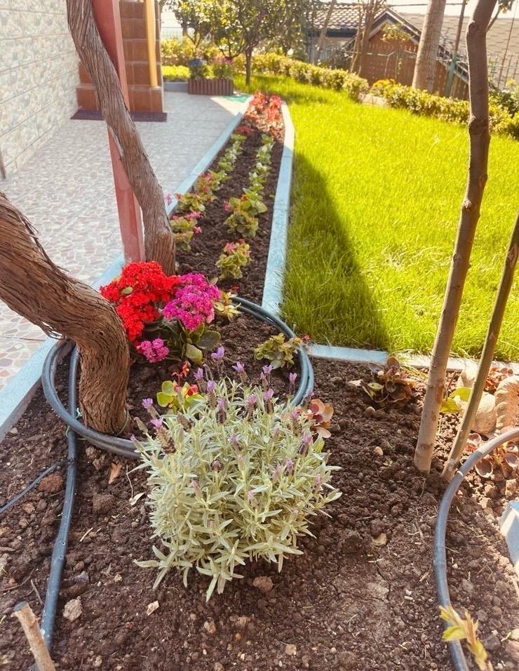 Shitet vila tek Gjiri i Lalzit