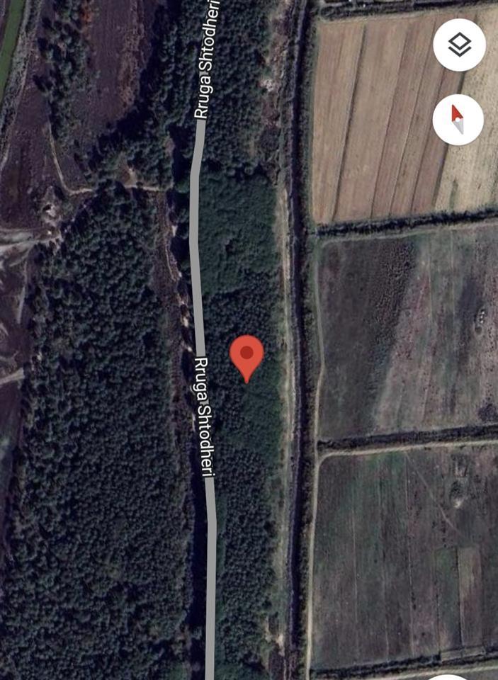 Toke Pyll plazhi Rinia Durres