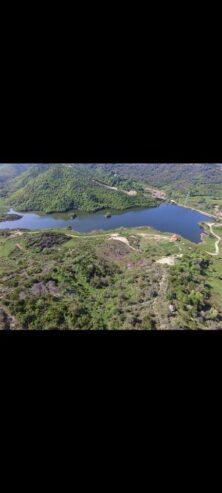 Toke Marikaj Tirane .