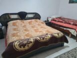 Gazoniere me qera i mobiluar bulevardi zogu i par