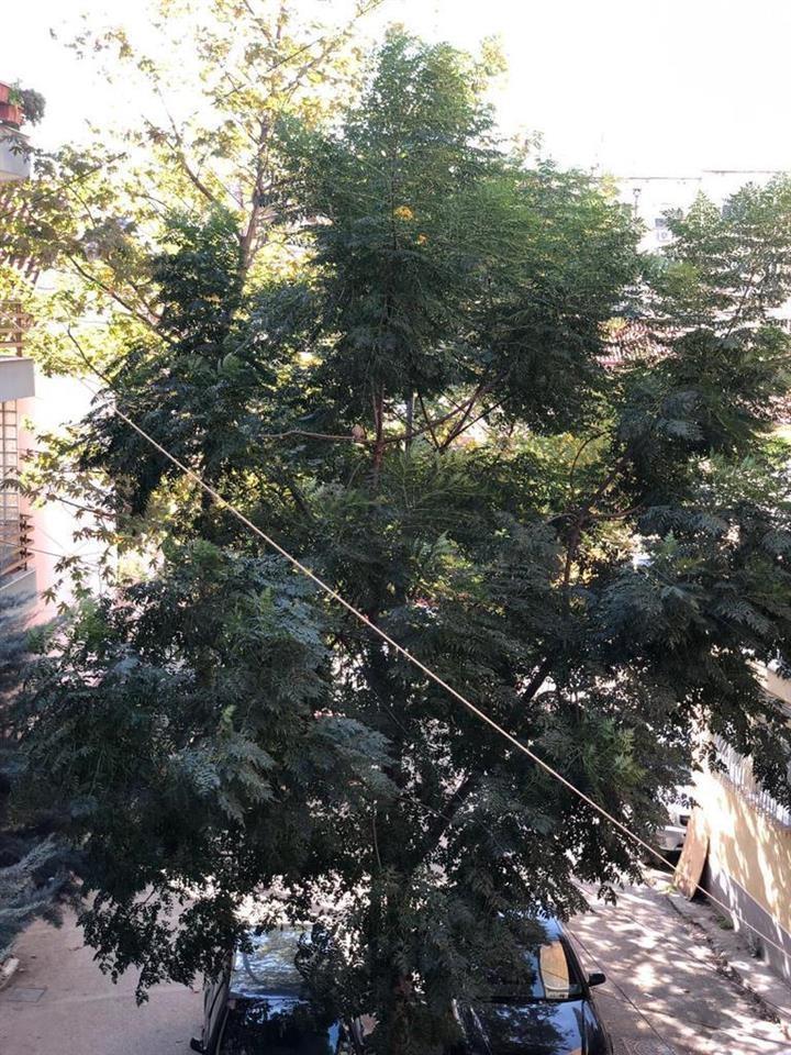 Jepet me qera Ap 2+1 afer pazarit