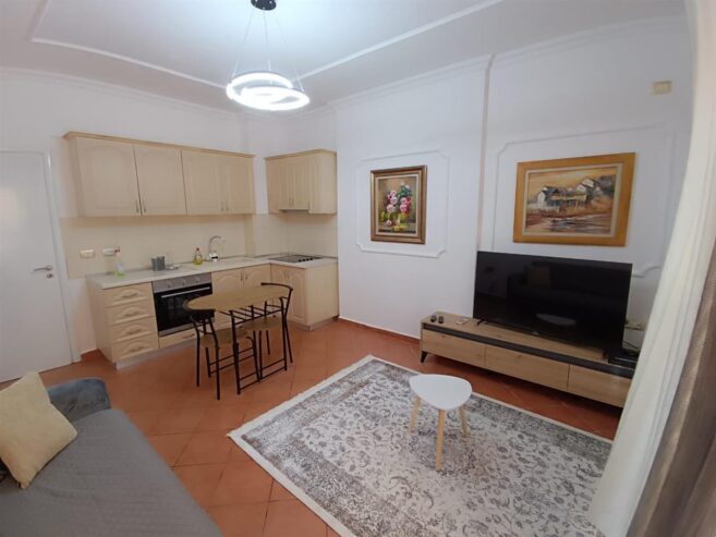 Jepet me Qera Apartament 1 + 1 te Liqeni Artificial